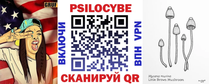 Галлюциногенные грибы Psilocybine cubensis  Нижний Тагил 
